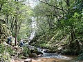 Agen d'Aveyron (12) : ruisseau des Palanges