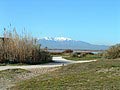 Canet (66) Le Canigou