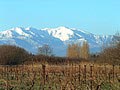 Canet (66) Le Canigou