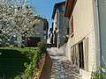 Carla-Bayle (09) : Ruelle