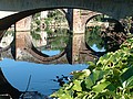 Espalion (12) le Pont-Vieux