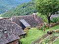La Vinzelle (12) : Maison et jardin en terrasse