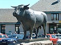 Laguiole (12) un symbole le taureau