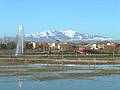 Saint-Cyprien (66) : Le Canigou vu du parc de la Prade