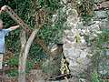 Peyrusse le Roc (12) : Le roc del Taluc